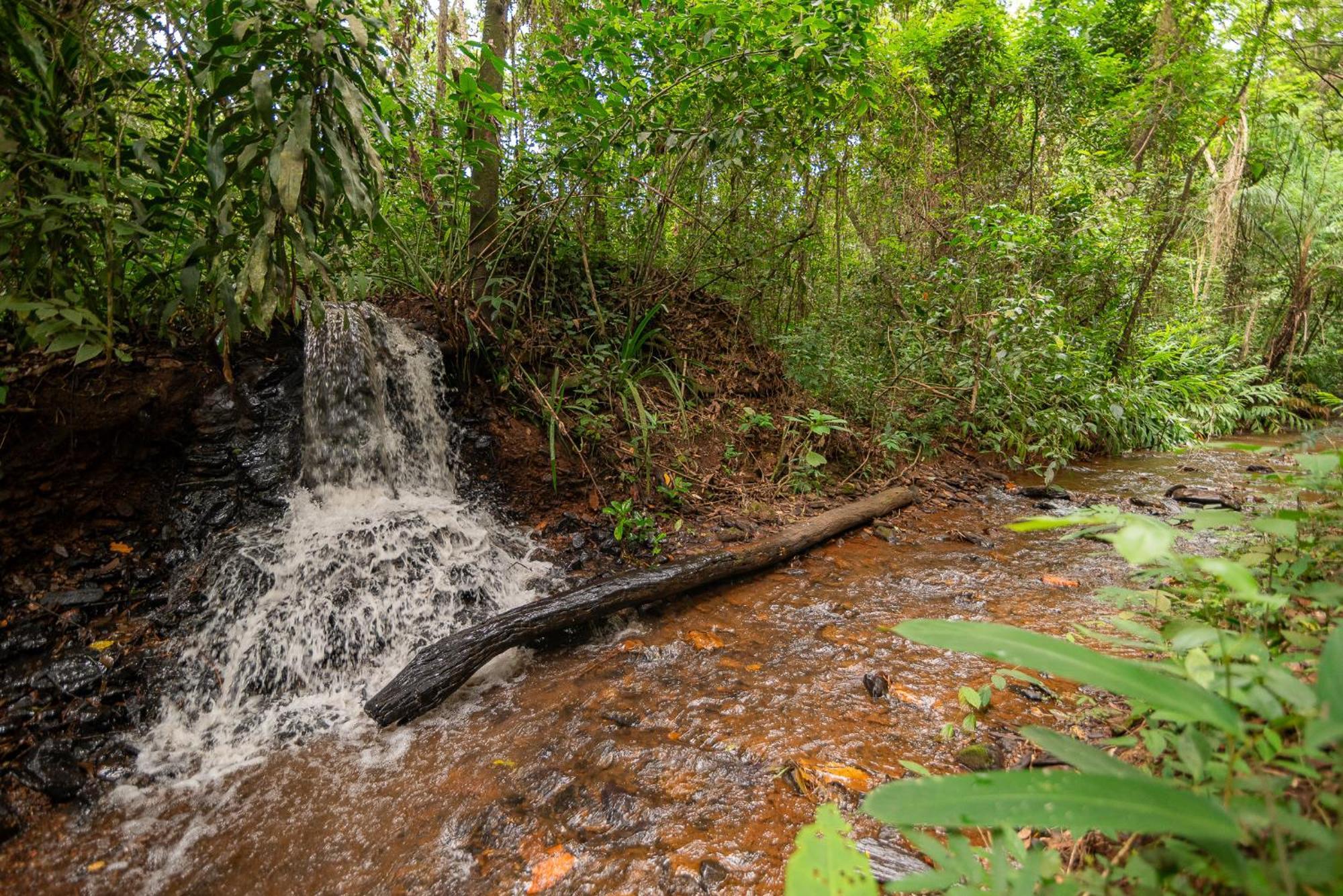 Espaco Viverde Pousada E Retiros Hotel Brumadinho Exterior foto