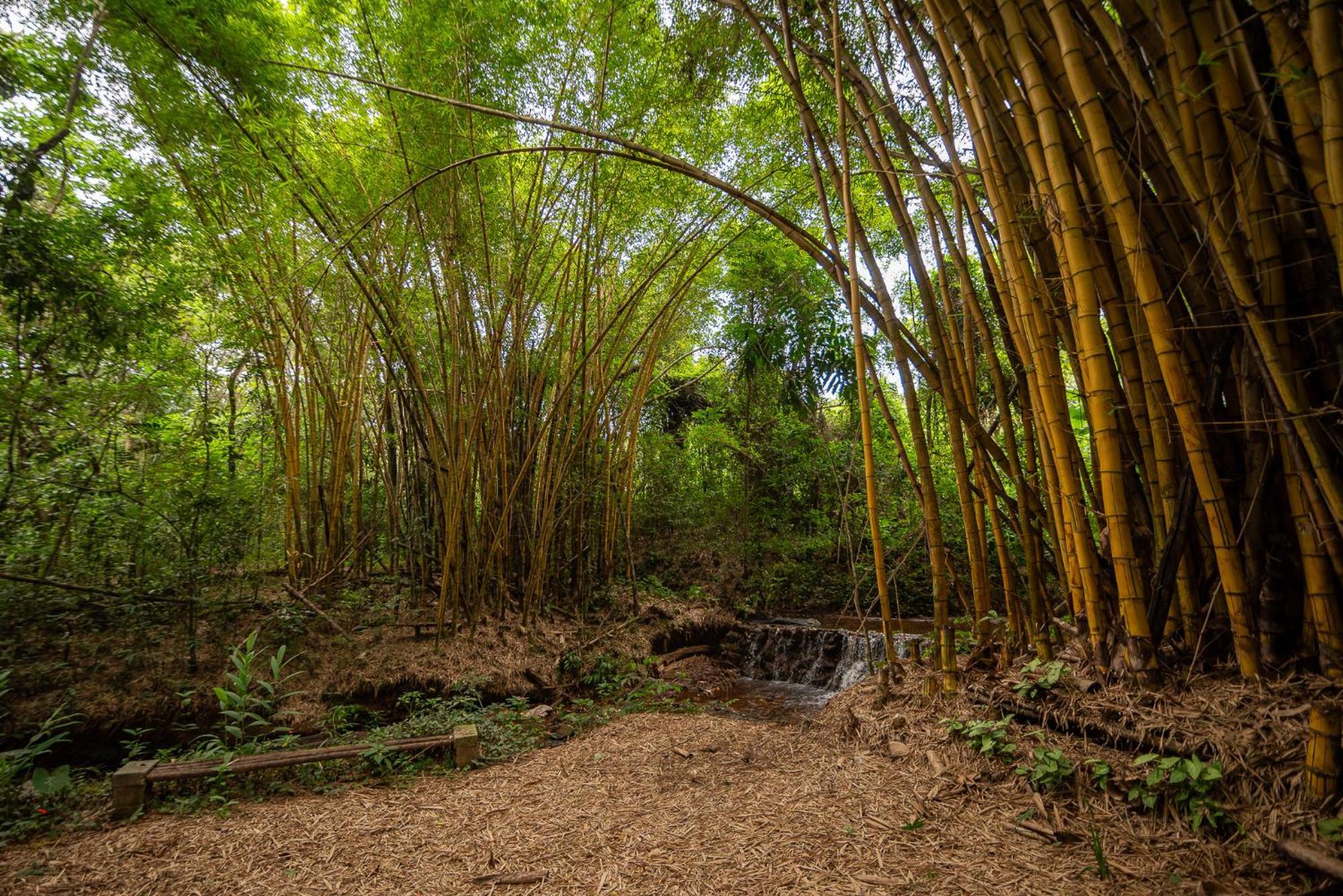 Espaco Viverde Pousada E Retiros Hotel Brumadinho Exterior foto